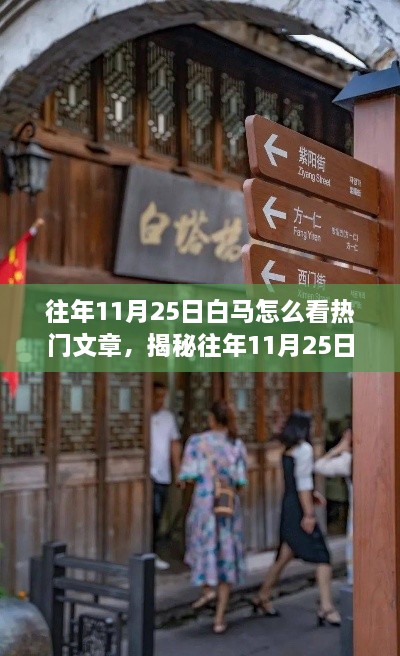 揭秘白马巷探秘之旅，探寻往年11月25日的热门文章与巷弄深处的隐藏瑰宝和特色小店探秘之旅。