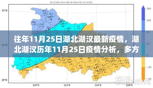 湖北湖汉历年1月疫情回顾与洞察反思，多方观点下的疫情分析