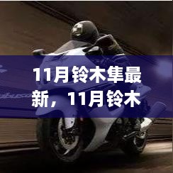 11月铃木隼最新评测及特性、使用体验与目标用户群体深度解析