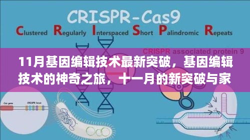 基因编辑技术的新里程碑，温馨故事中的十一月突破与神奇之旅