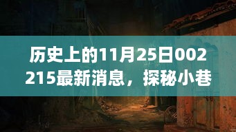 探秘非凡特色小店，历史上的今天，揭秘小巷深处的宝藏故事（11月25日最新消息）