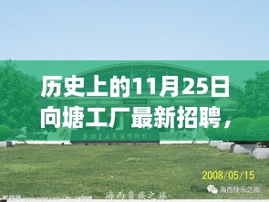 历史上的向塘工厂，最新招聘动态深度解析与回顾