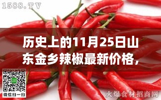 揭秘山东金乡辣椒市场风云变幻，历史11月25日最新价格动态分析