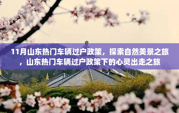 山东车辆过户政策与心灵出走之旅，探索自然美景的十一月之旅