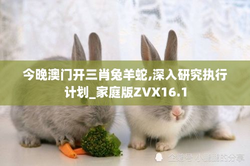 今晚澳门开三肖兔羊蛇,深入研究执行计划_家庭版ZVX16.1