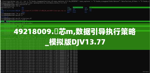 49218009.褋芯m,数据引导执行策略_模拟版DJV13.77