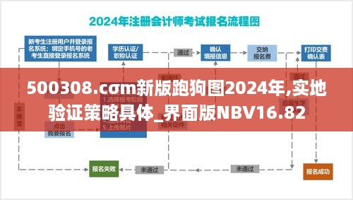 500308.cσm新版跑狗图2024年,实地验证策略具体_界面版NBV16.82