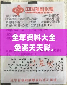 全年资料大全免费天天彩,社会承担实践战略_别致版IXY16.96