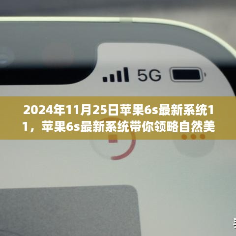 2024年11月26日 第65页