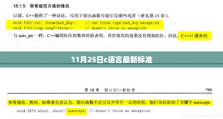 11月25日，最新C语言标准解读