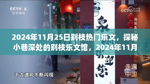 探秘别枝乐文馆，2024年11月25日独特风情的小巷乐文之旅