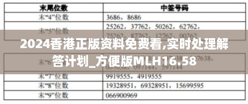 2024香港正版资料免费看,实时处理解答计划_方便版MLH16.58