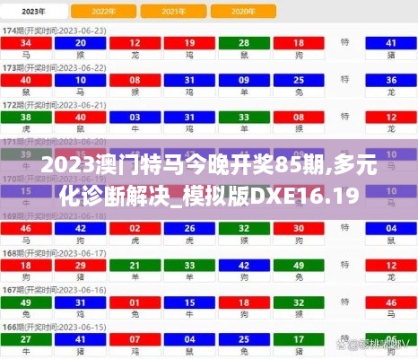 2023澳门特马今晚开奖85期,多元化诊断解决_模拟版DXE16.19