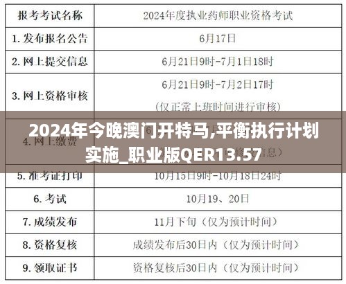 2024年今晚澳门开特马,平衡执行计划实施_职业版QER13.57