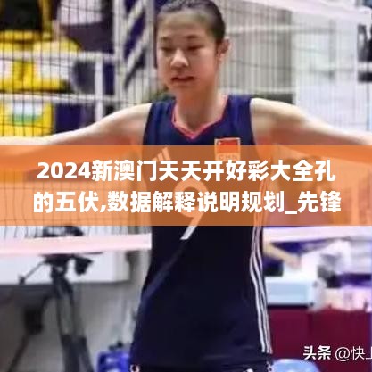 2024新澳门天天开好彩大全孔的五伏,数据解释说明规划_先锋版ZGU16.20