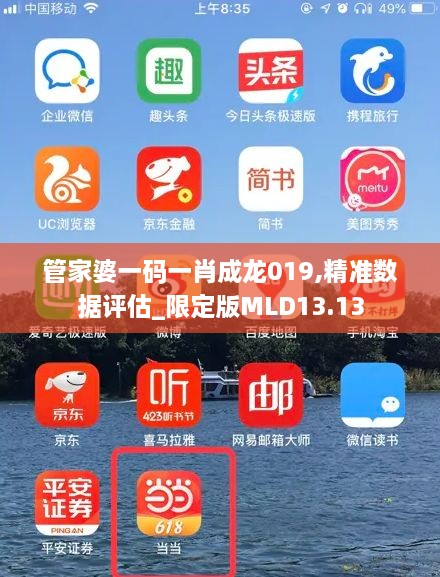 管家婆一码一肖成龙019,精准数据评估_限定版MLD13.13