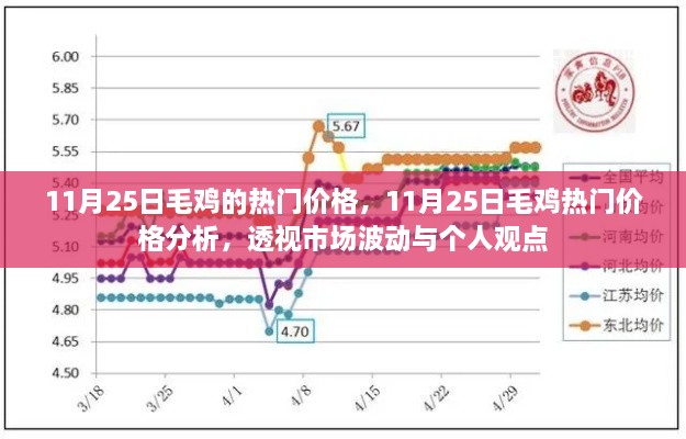 11月25日毛鸡热门价格走势分析，市场波动与个人观点透视