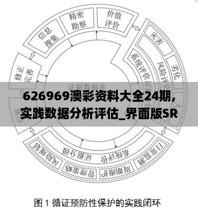 626969澳彩资料大全24期,实践数据分析评估_界面版SRG13.61