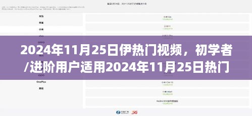 初学者与进阶用户必备，2024年热门视频制作全攻略