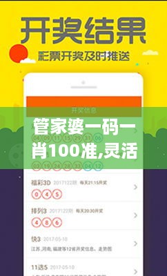 管家婆一码一肖100准,灵活性执行方案_光辉版HKE16.2