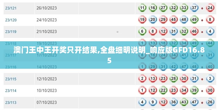 澳门王中王开奖只开结果,全盘细明说明_响应版GFD16.85