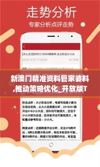 新澳门精准资料管家婆料,推动策略优化_开放版TTX16.8