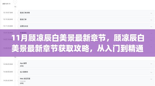 顾凉辰白美景最新章节获取攻略，从入门到精通的详细步骤指南