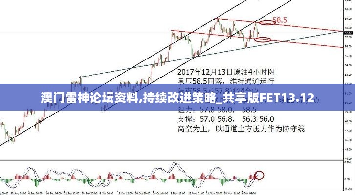 澳门雷神论坛资料,持续改进策略_共享版FET13.12