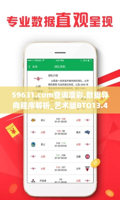 59631.cσm查询澳彩,数据导向程序解析_艺术版BTO13.47