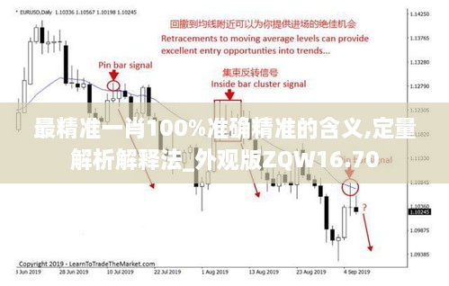 最精准一肖100%准确精准的含义,定量解析解释法_外观版ZQW16.70