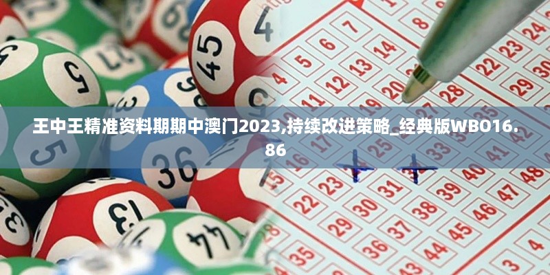 王中王精准资料期期中澳门2023,持续改进策略_经典版WBO16.86