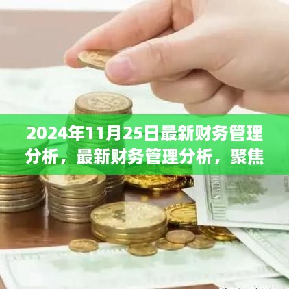 2024年11月25日最新财务管理分析，洞悉财务领域变革