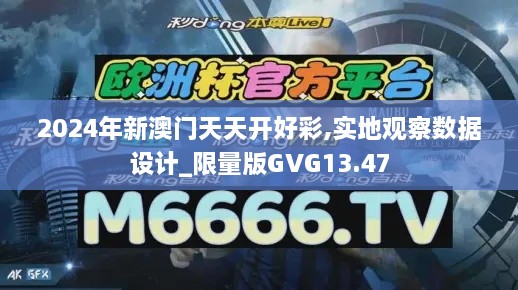 2024年新澳门天天开好彩,实地观察数据设计_限量版GVG13.47