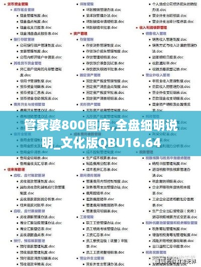 管家婆800图库,全盘细明说明_文化版QBU16.64