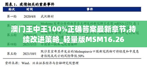 澳门王中王100%正确答案最新章节,持续改进策略_轻量版MSM16.26