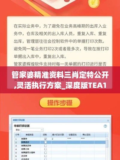 管家婆精准资料三肖定特公开,灵活执行方案_深度版TEA13.96