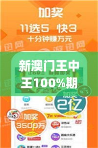 新澳门王中王100%期期中2024,多元化诊断解决_寻找版UTV13.47