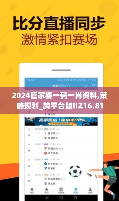 2024管家婆一码一肖资料,策略规划_跨平台版IIZ16.81