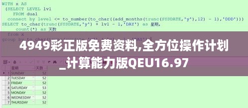 4949彩正版免费资料,全方位操作计划_计算能力版QEU16.97