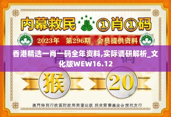 香港精选一肖一码全年资料,实际调研解析_文化版WEW16.12