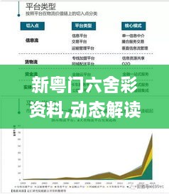 新粤门六舍彩资料,动态解读分析_实用版RWE16.61