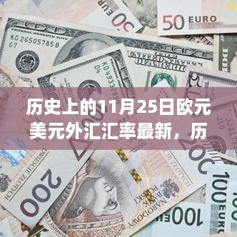 历史上的11月25日，欧元美元汇率变迁背后的励志故事与自信成就之歌，最新汇率一览表