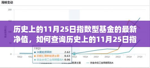 历史上的11月25日指数型基金最新净值查询攻略，初学者与进阶用户指南