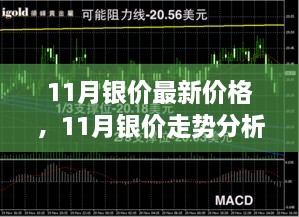 11月银价最新动态及走势分析，洞悉价格变动与多方观点