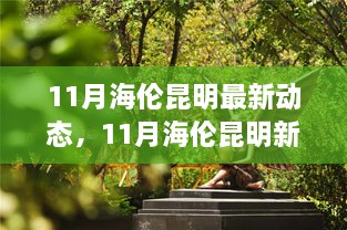 11月海伦昆明新动态，变化中的学习之旅，自信与成就感的绽放