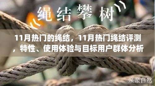 11月热门绳结详解，评测、特性、用户体验与目标用户群体洞察