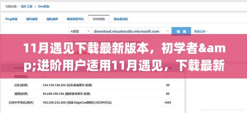 11月遇见下载最新版本指南，适合初学者与进阶用户的详细步骤