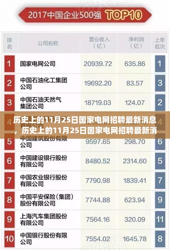 历史上的11月25日国家电网招聘最新消息深度解析与评测报告