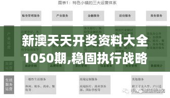 新澳天天开奖资料大全1050期,稳固执行战略分析_量身定制版SRU19.65