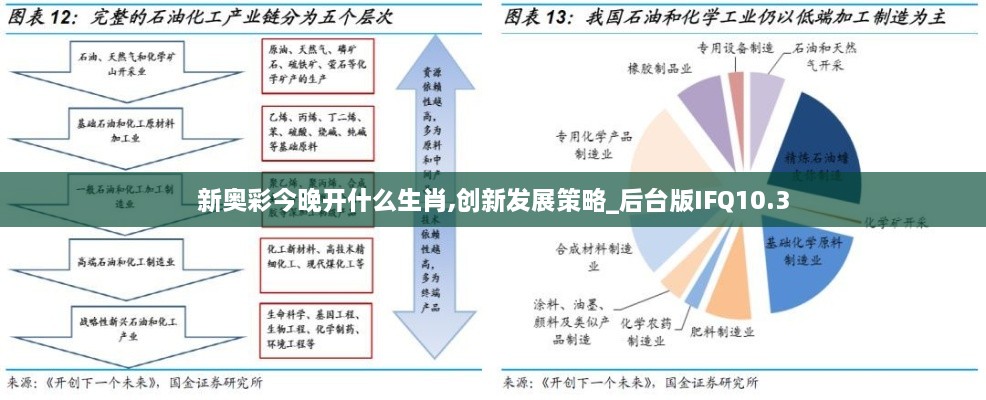 新奥彩今晚开什么生肖,创新发展策略_后台版IFQ10.3